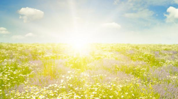 sunshine